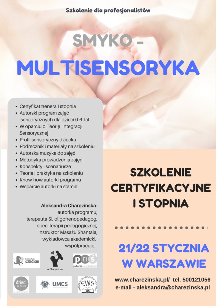 Szkolenie ceryfikacyjne  Smyko-Multisensoryka dla profesjonalistów - 21/22.01.2017 -FOTORELACJA
