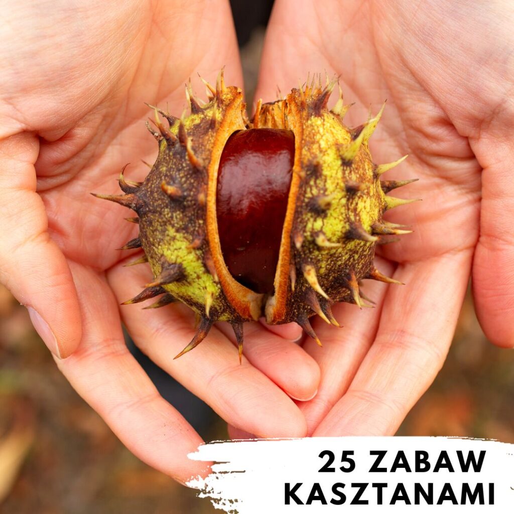 25 zabaw z kasztanami